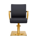 Meteor Gold Salon Styling Chair