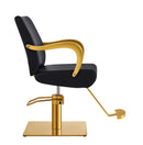 Meteor Gold Salon Styling Chair