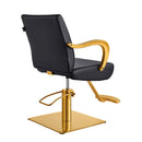 Meteor Gold Salon Styling Chair