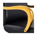 Meteor Gold Salon Styling Chair