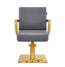 Meteor Gold Salon Styling Chair