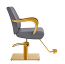 Meteor Gold Salon Styling Chair