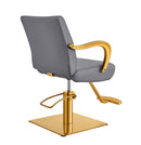 Meteor Gold Salon Styling Chair