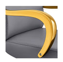 Meteor Gold Salon Styling Chair