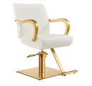 Meteor Gold Salon Styling Chair