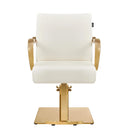 Meteor Gold Salon Styling Chair