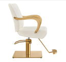 Meteor Gold Salon Styling Chair
