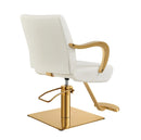 Meteor Gold Salon Styling Chair