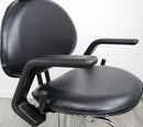 Aristo All Purpose Chair
