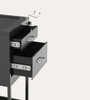 Lockable Metal Trolley