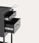 Lockable Metal Trolley