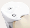 Caitlyn Shampoo Bowl and Chair