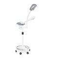 NanoMist Professional Facial Steamer with LED Magnifying Lamp & Aromatherapy